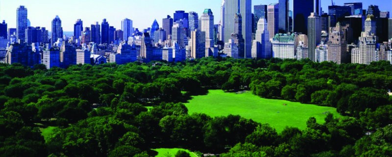 New York Insider's Guide photos