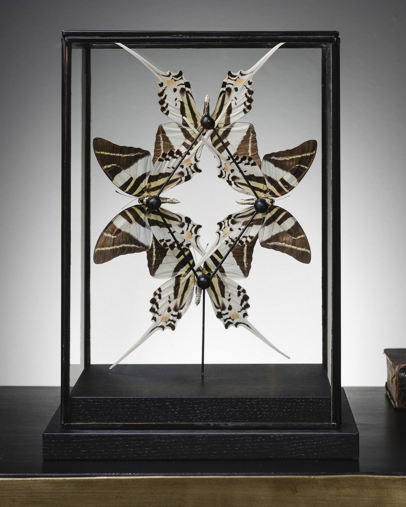 Top French Furniture Brands to Pay Close Attention at Maison et Objet