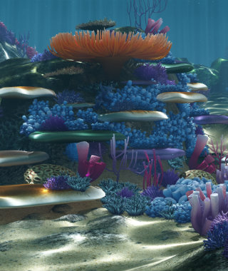 Feel The Summer Vibes With The Pieces of PullCast’s Ocean Collection 