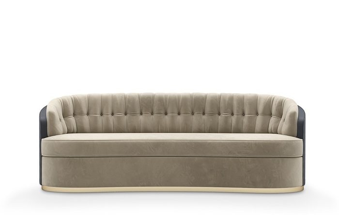 organic shaped sofa