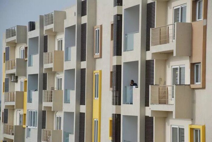 Vesta Architects: Symbiotic Spaces Honoring Environment And Inhabitat