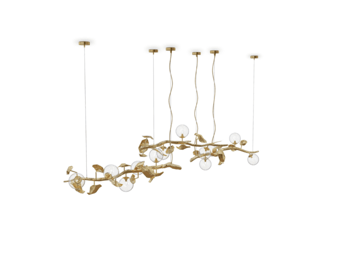 Fede Design LLC: Endless Interior Design Possibilities